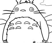 Coloriage Monstre Totoro