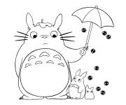 Coloriage Totoro de Studio Ghibli