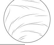 Coloriage et dessins gratuit La petite Plan&egrave;te V&eacute;nus à imprimer