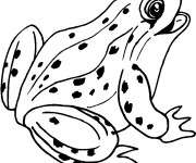 Coloriage et dessins gratuit Grenouille mignonne à imprimer