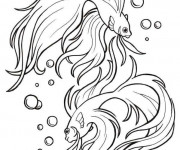 Coloriage Tatouage Poisson