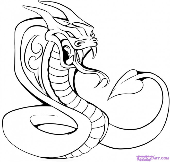 Coloriage Tatouage Serpent Dessin Gratuit à Imprimer