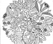 Coloriage Adulte Nature