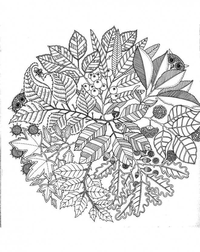 Coloriage Adulte Nature dessin gratuit à imprimer