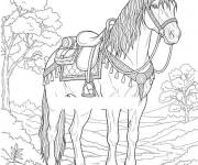 Coloriage et dessins gratuit Le cheval de Geralt à imprimer