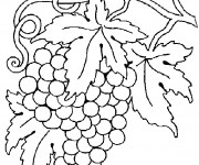 Coloriage et dessins gratuit Vintage Fruit à imprimer