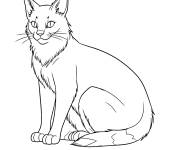 Coloriage Bluestar Chat guerrier