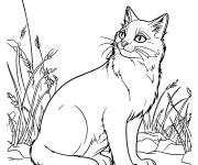 Coloriage Bramblestar chat guerrier