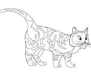 Coloriage Cendrier de Warrior Cats