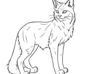 Coloriage Chat Bramblestar