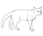 Coloriage et dessins gratuit Chat de Warrior Cats en noir et blanc à imprimer