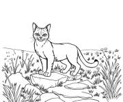 Coloriage Chat guerrier adorable