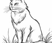 Coloriage Chat guerrier artistiquement dessin&eacute;
