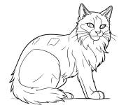 Coloriage Chat guerrier en portrait
