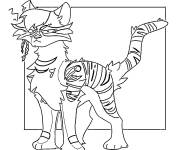 Coloriage Chat guerrier Ivypool