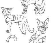 Coloriage Chat Makovka de Warrior Cats