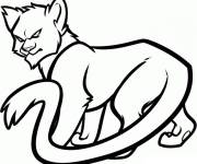 Coloriage Chat Moineau