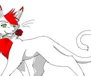 Coloriage et dessins gratuit Chat romantique de Warrior cats à imprimer