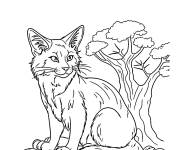 Coloriage Chat Squirrflight
