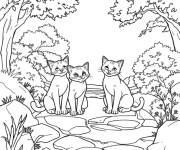 Coloriage Chatons guerriers