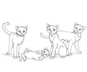 Coloriage Chats &agrave; fourrure