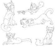 Coloriage Chats de la m&ecirc;me tribe de Warrior cats