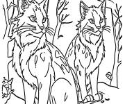 Coloriage Chats Squirrelflight et Firestar
