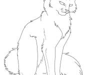 Coloriage Croquis de chat guerrier