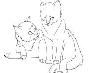 Coloriage Croquis des chats de Warrios Cats