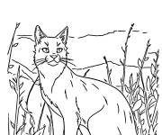 Coloriage Firestar en plein air
