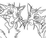 Coloriage Firestar le chef de tribe