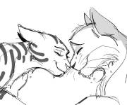 Coloriage Graystripe et Silverstream