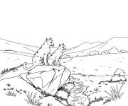 Coloriage Guerriers Chats dans la savane