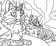 Coloriage Les chats guerriers dans la foret