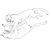 Coloriage Les chats pr&eacute;dateurs se batte