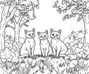 Coloriage Les fr&egrave;res chats de Warrior Cats