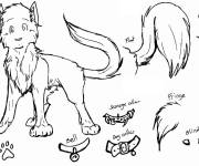 Coloriage Les objets de chat Warrior Cat