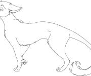 Coloriage Minou de Warrior Cats