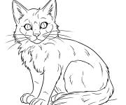 Coloriage Petit chat Squirrflight