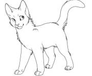Coloriage Portrait d'un pr&eacute;dateur de Warrior Cats