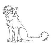 Coloriage Portrait facile de Tigerstar