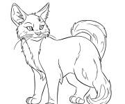 Coloriage Squirrflight Chat guerrier