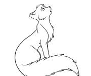 Coloriage et dessins gratuit Un chat pelucheux de Warrior Cats à imprimer