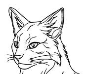 Coloriage Visage du chat guerrier Firestar