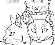 Coloriage Warrior Cat Faces