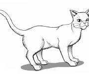 Coloriage Warrior Cats dessin&eacute; &agrave; la main pour enfants