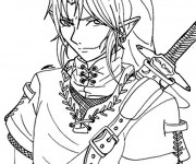 Coloriage Link en couleur