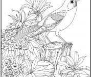 Coloriage Animaux Zen facile