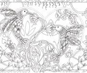 Coloriage Anti-Stress Oiseaux