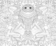 Coloriage et dessins gratuit Hibou et Jardin à imprimer